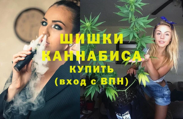 бутират Белокуриха