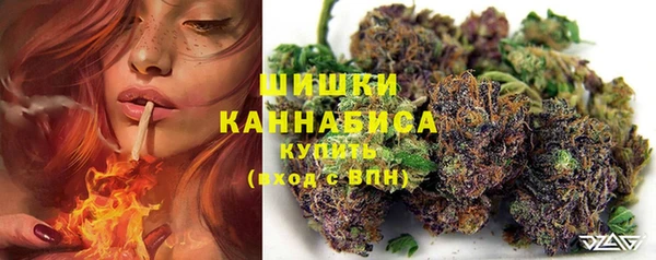 шишки Баксан