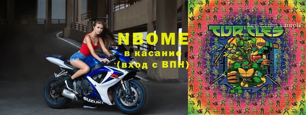 шишки Баксан